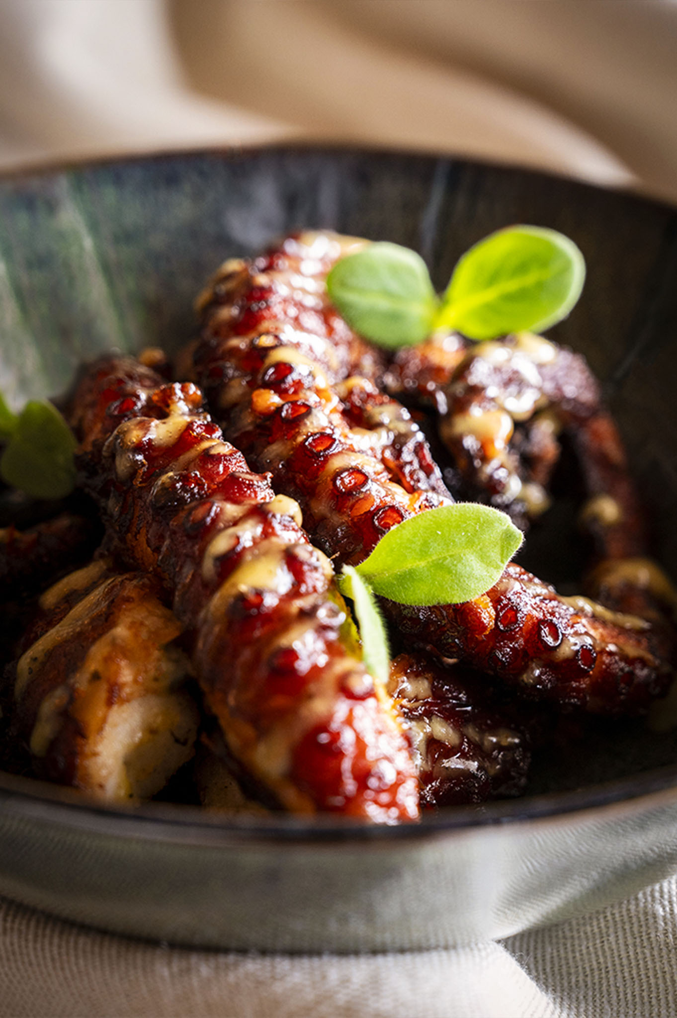 WhatsApp Image 2025-12-22 at 11.54.41 5