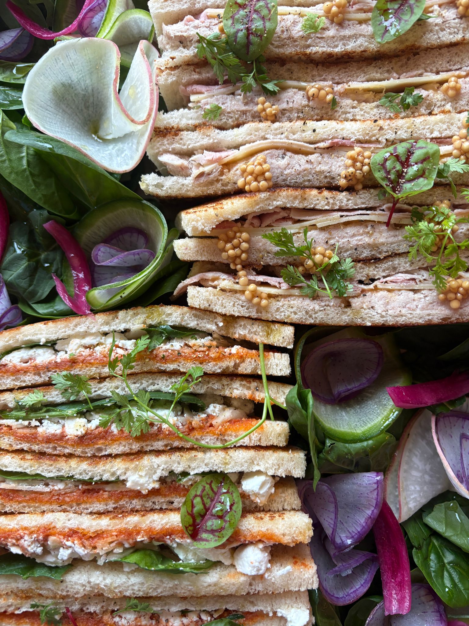 WhatsApp Image 2026-01-30 at 14.34.18 (3)