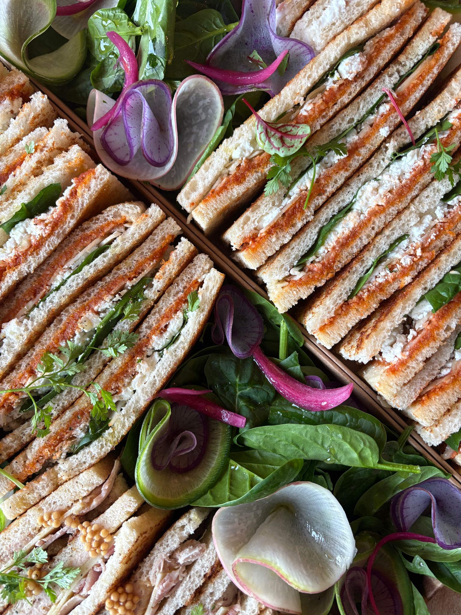 WhatsApp Image 2026-01-30 at 14.34.18