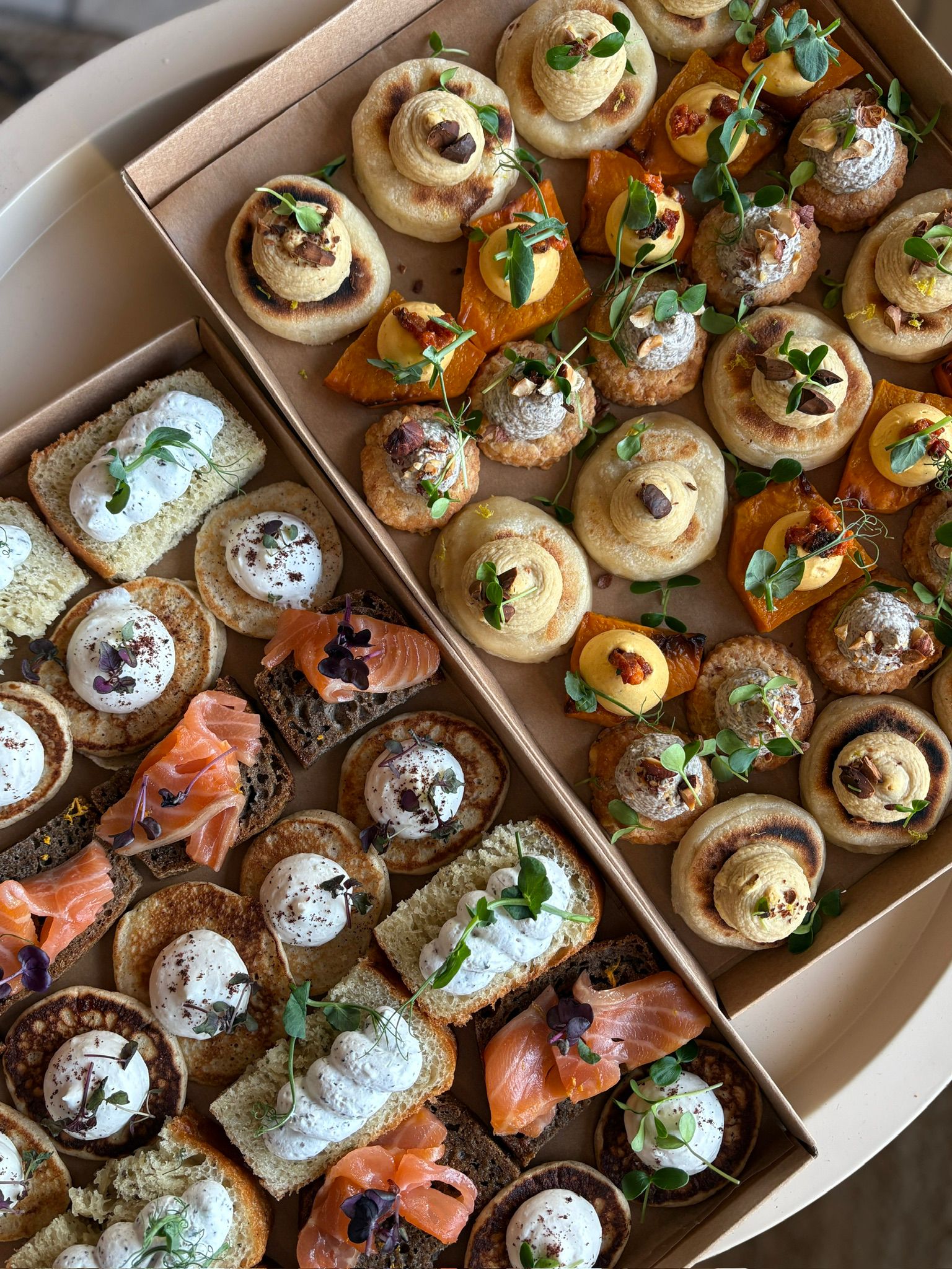 WhatsApp Image 2026-01-30 at 14.34.49 (2)