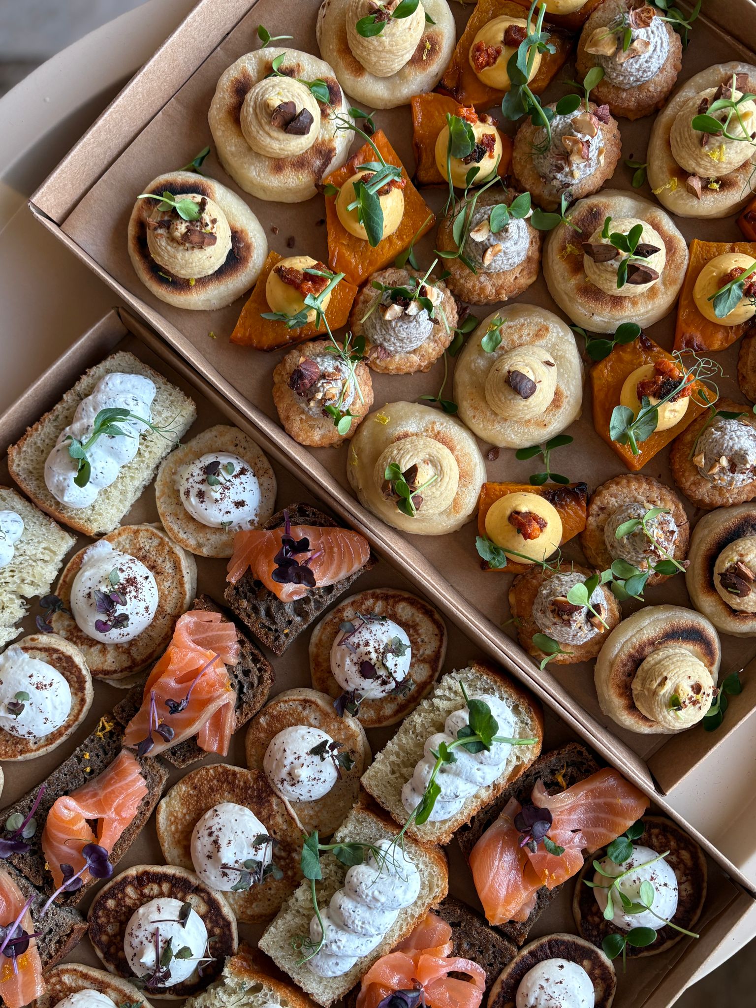 WhatsApp Image 2026-01-30 at 14.34.49