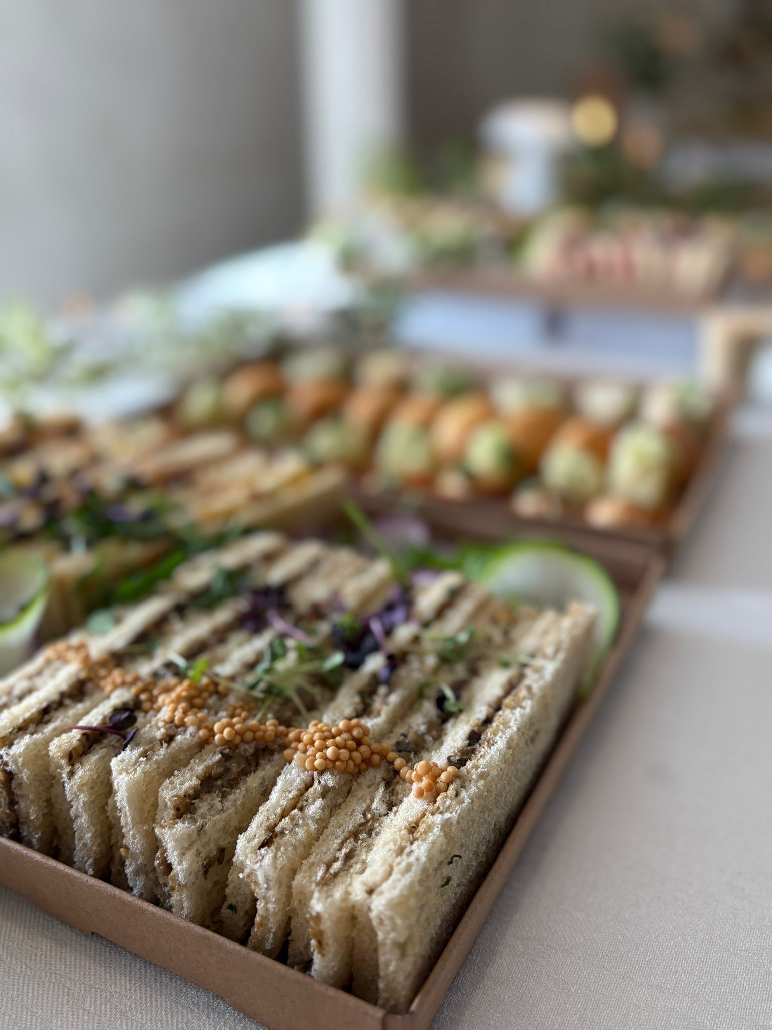 WhatsApp Image 2026-02-06 at 16.27.39