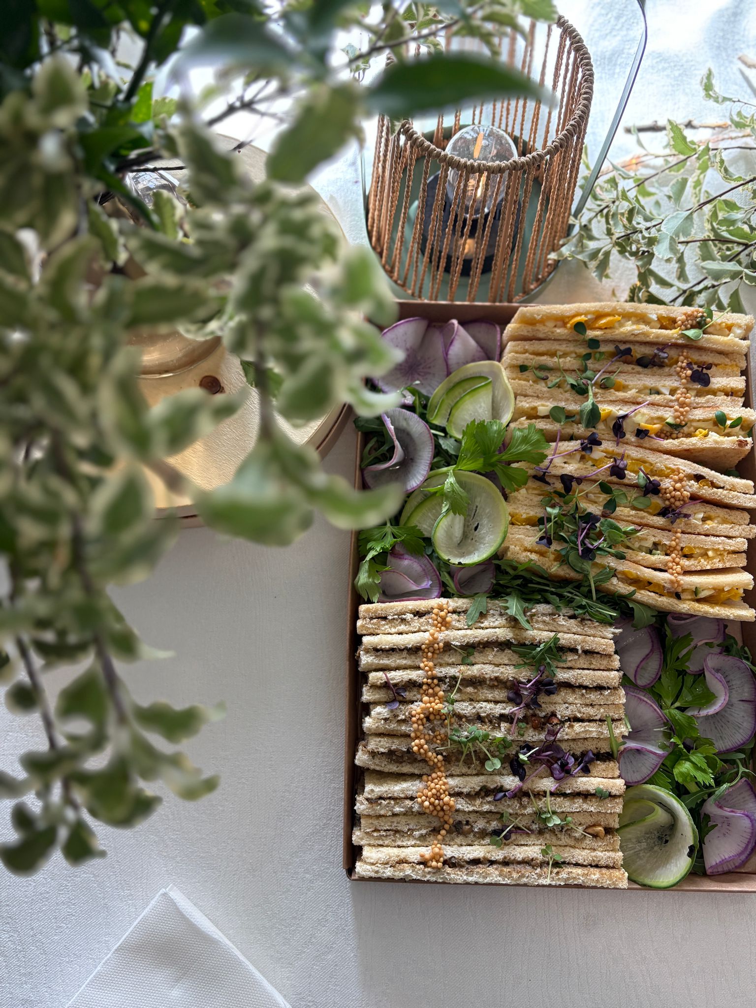 WhatsApp Image 2026-02-06 at 16.27.392